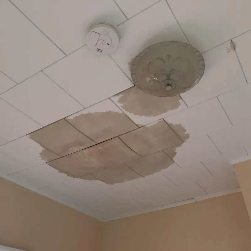 Ceiling Water Damage Repair in University Park, NM