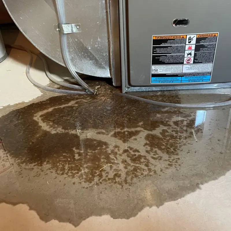 Pipe Burst and Leak Restoration in University Park, NM